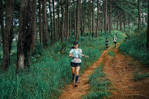 BIB: 
                            <button type="button" onclick="openModal(25677480)" class="btn btn-primary btn-sm float-right btn-popup" data-toggle="modal" data-target=".modal-high-quality">
                        <i class="fas fa-shopping-cart"></i> Add to Cart
                    </button>
                                            <button type="button" onclick="isThisMe(25677480, true)" class="btn btn-success btn-sm float-right btn-popup btn-isme hidden" data-toggle="tooltip" data-placement="bottom" title="นี่คือรูปของคุณใช่ไหม คลิกที่นี่เพื่อเอาเข้าอัลบั้ม">
                        <i class="fas fa-plus"></i> Add to album
                    </button>
                    <button type="button" onclick="isThisMe(25677480, false)" class="btn btn-warning btn-sm float-right btn-popup btn-isnotme hidden">
                        <i class="fas fa-ban"></i> Remove from album
                    </button>